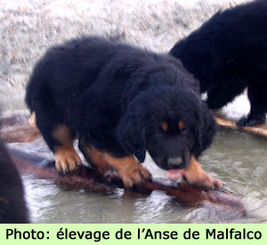 Comment traverser sans se mouiller