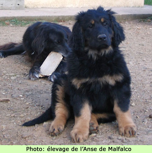Avec ma grand mre