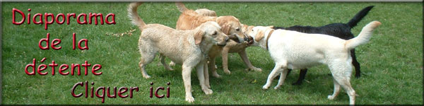 slideshow: fun and games