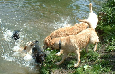 Patty: I want out!»