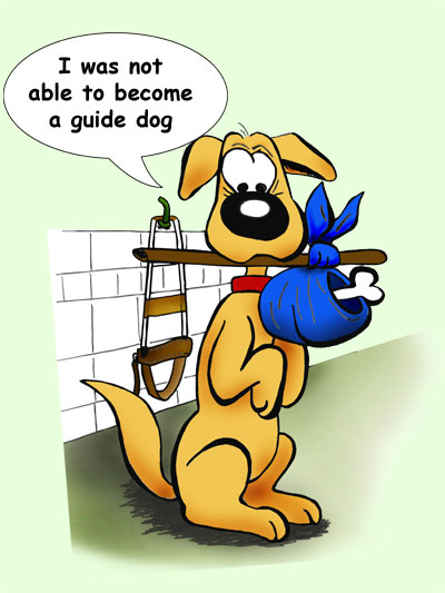 I was not able to become a guide dog