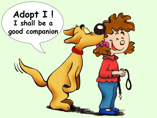 Adopt I! I shall be a good companion