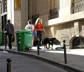 Patty avoids the garbage cans and other trash