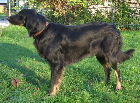 Alma