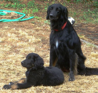 Ugane et Aldo encore en famille