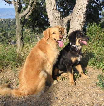Délia at 5 months with Paola