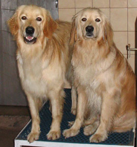 Ulia (gauche) Uriel ( droite)