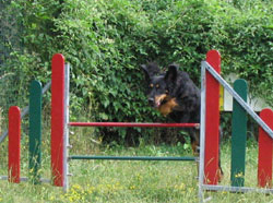 And we're off! When you've got to go, you've got to go!