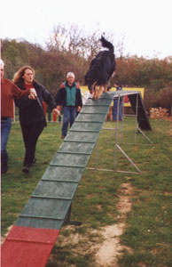 Patty goes down the ramp