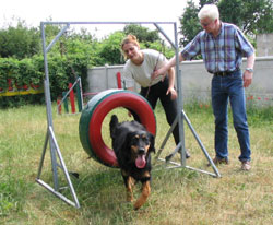 The tyre