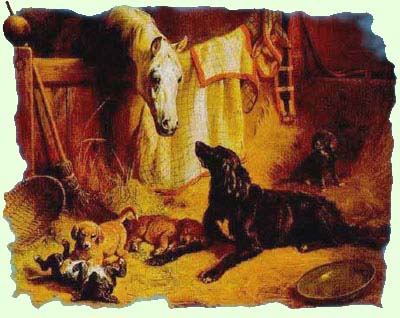 Tableau de Benno Adams (1869) - Hundefamilie mit altem Gaul - (Une famille de chien avec un vieux cheval)