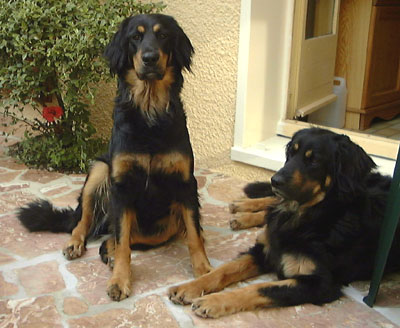 Patty et Ptra