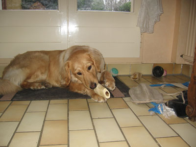 lane et ses jouets