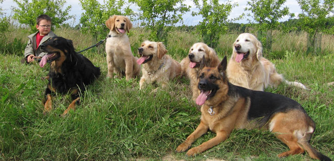 Photo de groupe: Gatan, Patty, moi, Chelta, Prisca, Patch et Bonnie