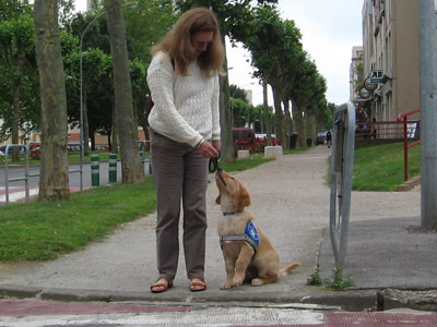 Arrt au bord du trottoir