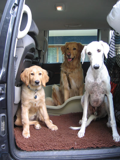 En Voiture