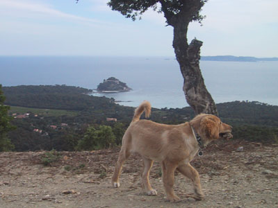Vue sur la mer