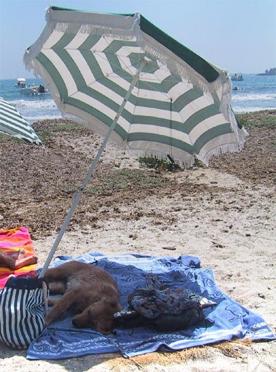 Mon parasol