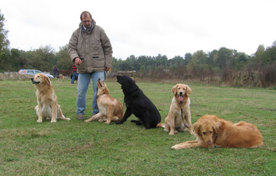 Photo de famille, Sam, mon premier maître, essaie de calmer éclipse