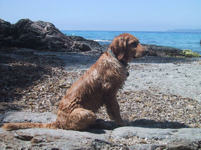 Élane assise sur la plage