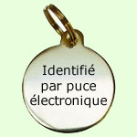exemple de mdaille