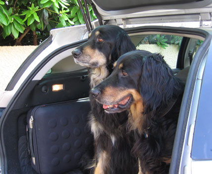 Sonate et Patty en voiture