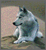 Cover page: Le chien un loup civilis
