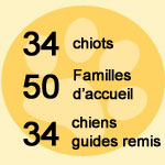 34 Chiots, 50 familles d'accueil, 34 chiens guides remis