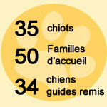 35 Chiots, 50 familles d'accueil, 34 chiens guides remis